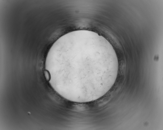 X0000102870417200809151240