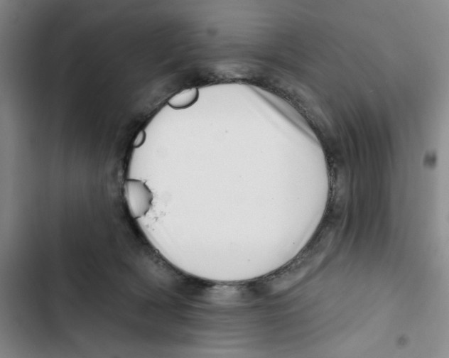 X0000102870418200809151240
