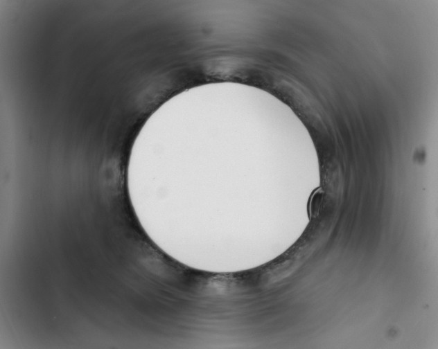 X0000102870420200809151240