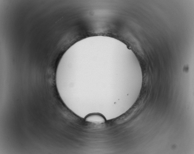 X0000102870421200809151240