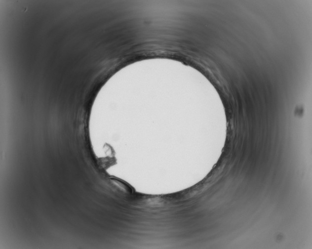X0000102870423200809151240