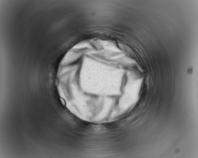 X0000102870424200809151240
