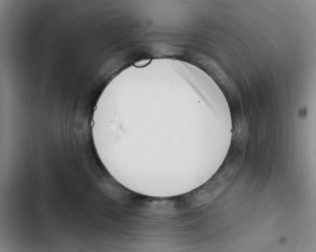 X0000102870426200809151240
