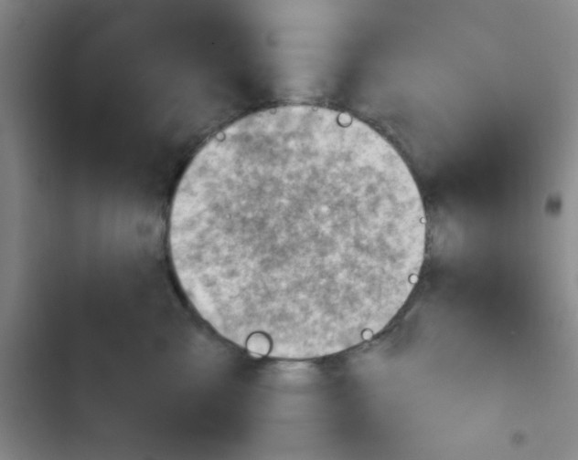 X0000102870427200809151240