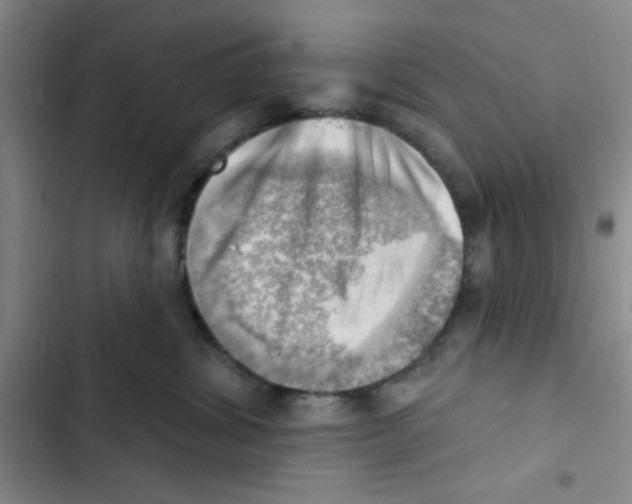 X0000102870428200809151240