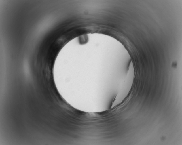 X0000102870429200809151240