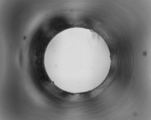 X0000102870430200809151240