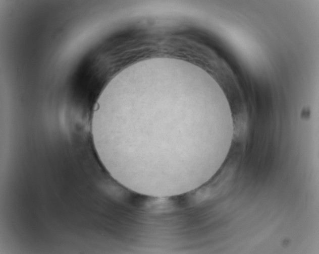 X0000102870431200809151240