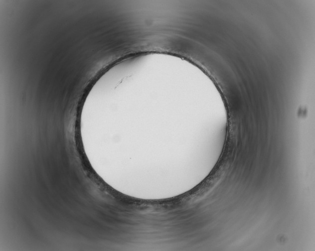 X0000102870434200809151239
