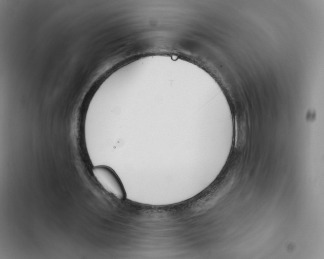 X0000102870435200809151239
