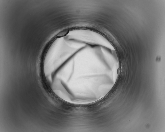 X0000102870436200809151239