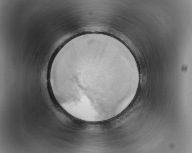 X0000102870438200809151239