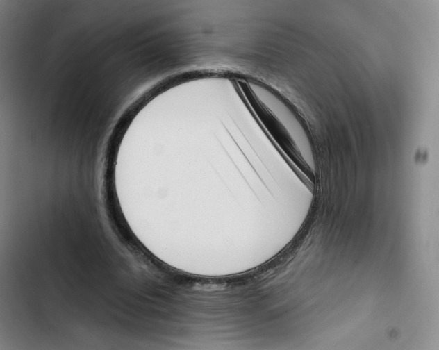 X0000102870440200809151239