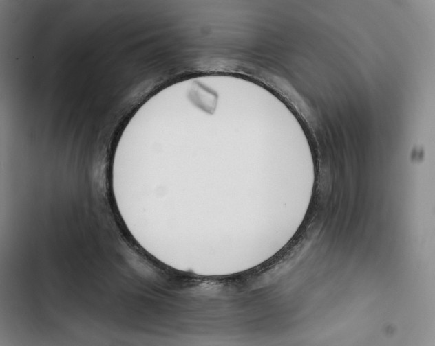 X0000102870441200809151239