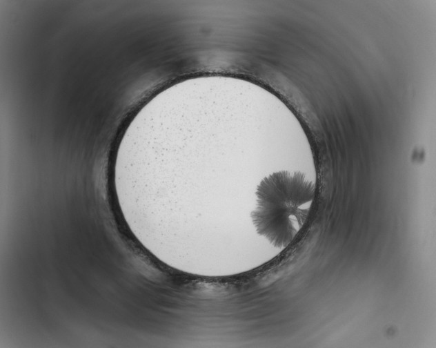 X0000102870442200809151239