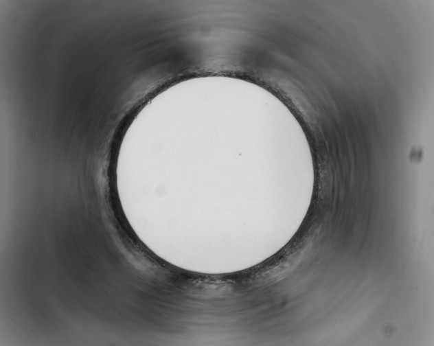 X0000102870443200809151239