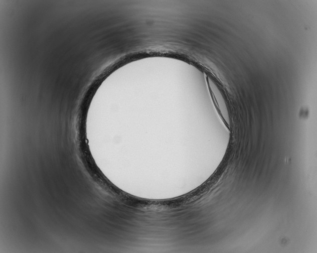X0000102870444200809151239