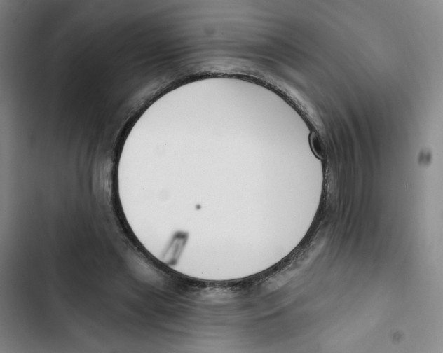 X0000102870445200809151239