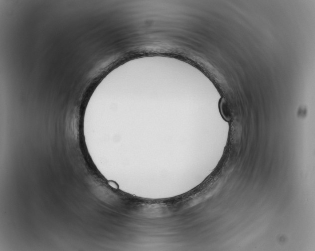 X0000102870446200809151239