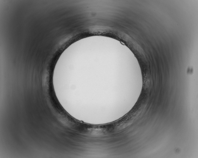 X0000102870448200809151239