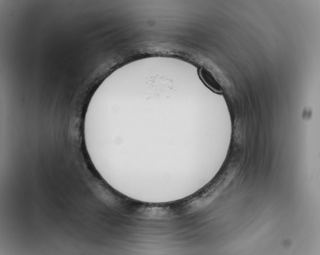 X0000102870449200809151239