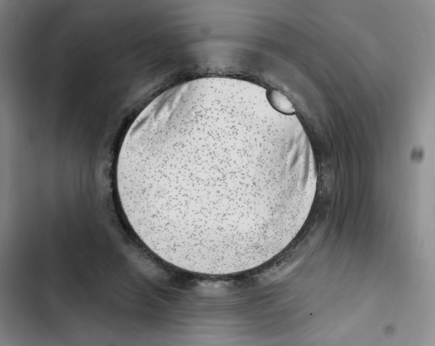 X0000102870450200809151239
