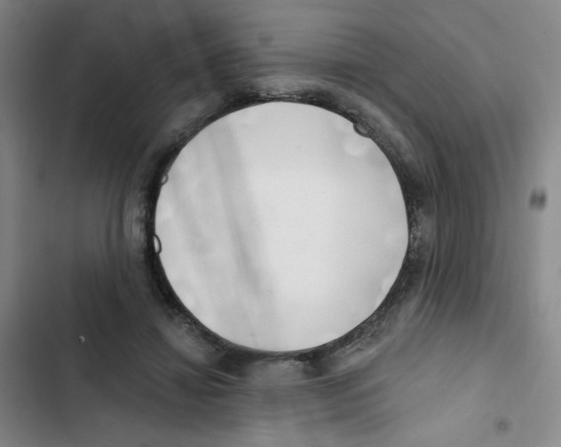 X0000102870452200809151239