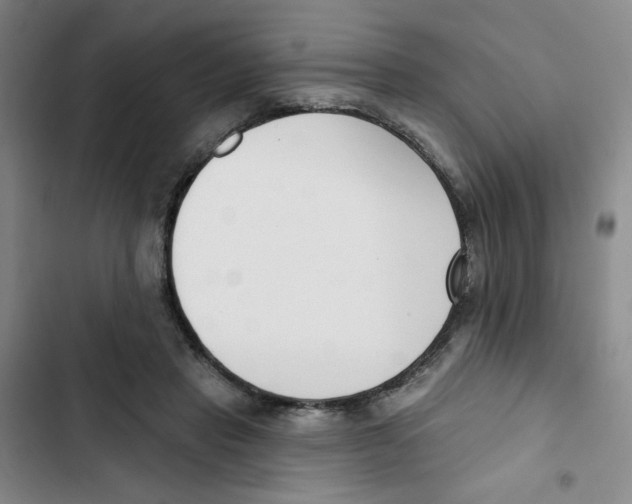 X0000102870453200809151239