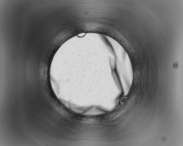 X0000102870454200809151239