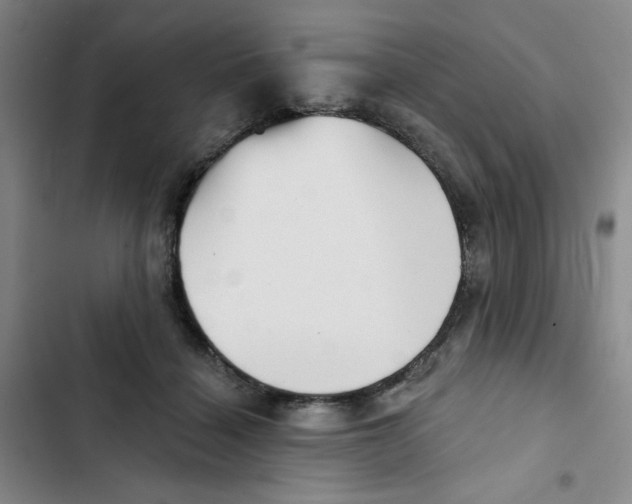 X0000102870460200809151239