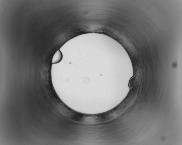 X0000102870461200809151239