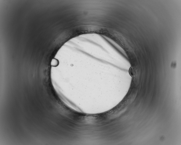 X0000102870462200809151239