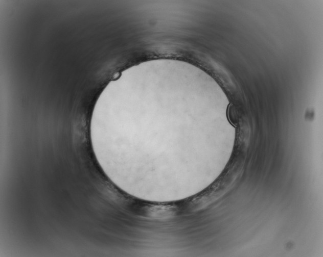 X0000102870465200809151239