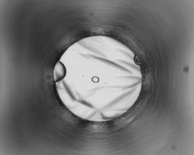 X0000102870466200809151239