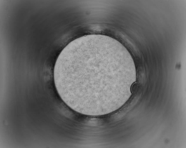 X0000102870467200809151239