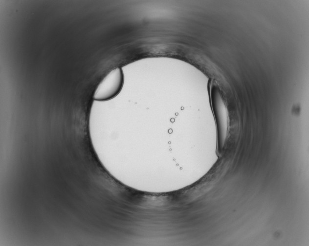 X0000102870469200809151239