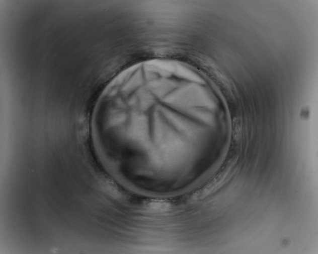 X0000102870471200809151239