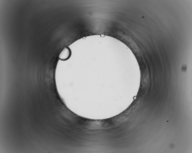 X0000102870473200809151239