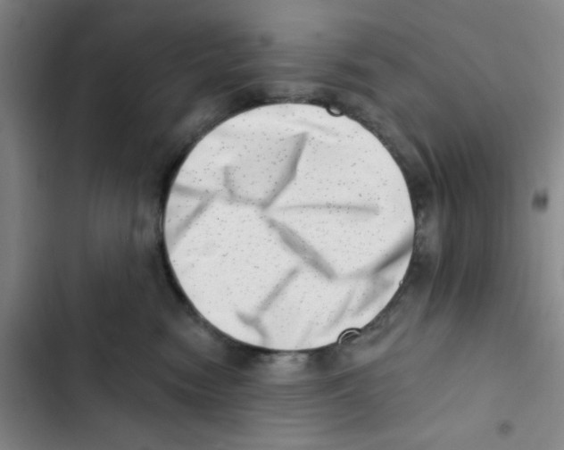 X0000102870474200809151239