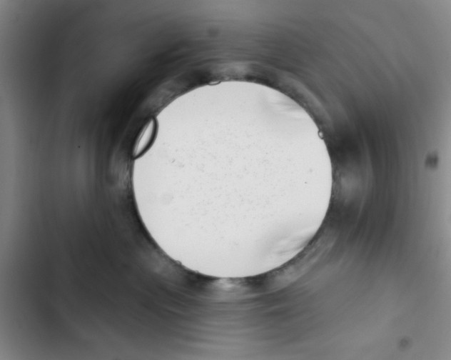 X0000102870477200809151240