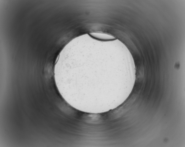 X0000102870478200809151240