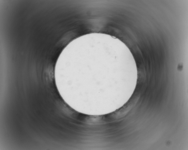X0000102870479200809151240