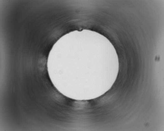 X0000102870480200809151240
