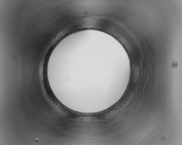 X0000102870482200809151239