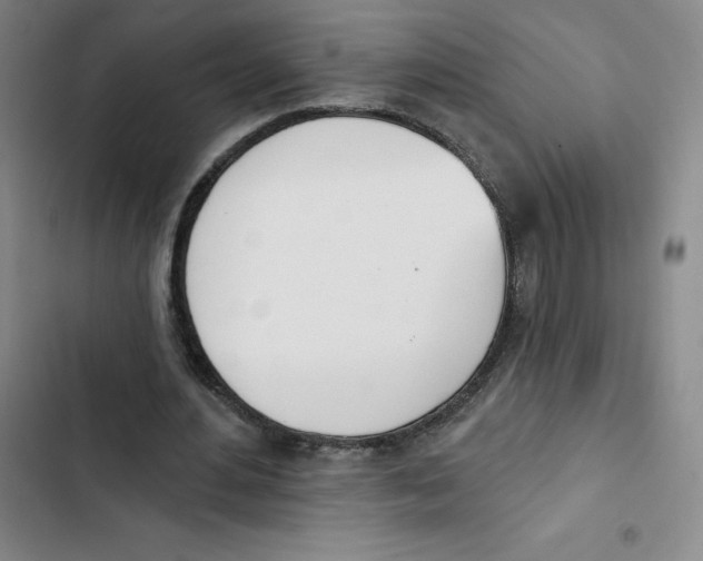 X0000102870484200809151239