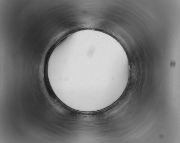 X0000102870486200809151239