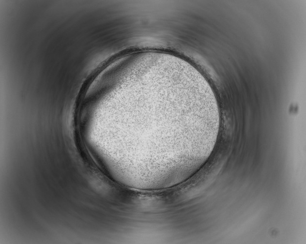 X0000102870487200809151239