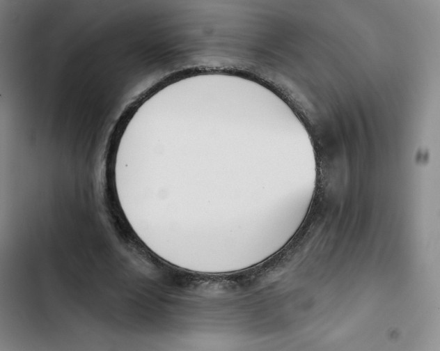 X0000102870488200809151239
