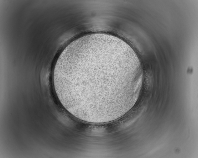X0000102870491200809151239