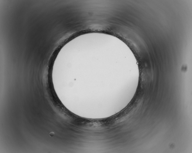 X0000102870492200809151239